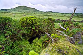 Azzorre, Isola di Pico - Escursione alla Furna de Frei Matias. 